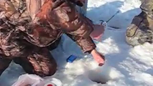 Рыбинский трофей смотреть онлайн