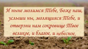 Обязательно прочтите эту молитву перед посадкой семян и рассады! Божье благословение на урожай!