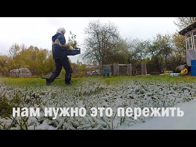 Нам всем нужно пережить это холодное время