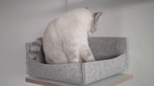 Katzenbett GROOVIE bei Fellpflege смотреть онлайн