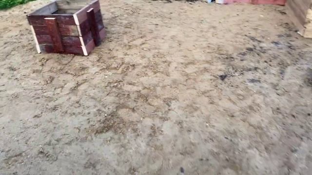 ОГОРОД НА «БОЛОТЕ» смотреть онлайн