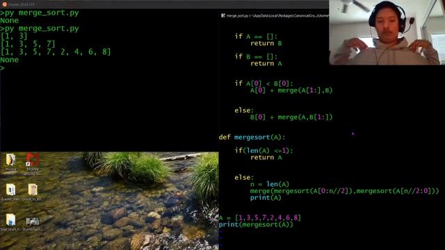 CODING BASIC SORTING ALGORITHMS! (PYTHON3) смотреть онлайн