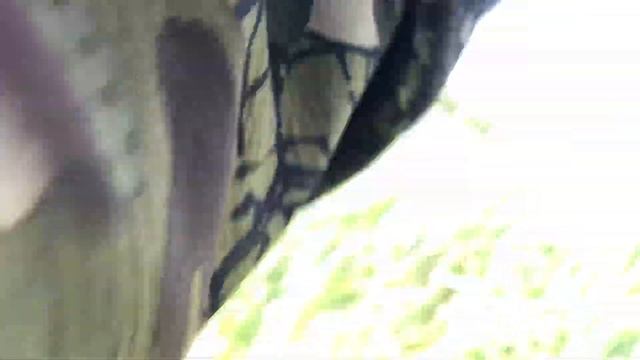 РЫБАЛКА НА СПИННИНГ!!!В ПОИСКАХ ТРОФЕЯ!!ПОЙМАЛ ЩУКУ ЗА ХВОСТ!! смотреть онлайн