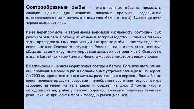 Систематика рыб. Биология 7 класс смотреть онлайн