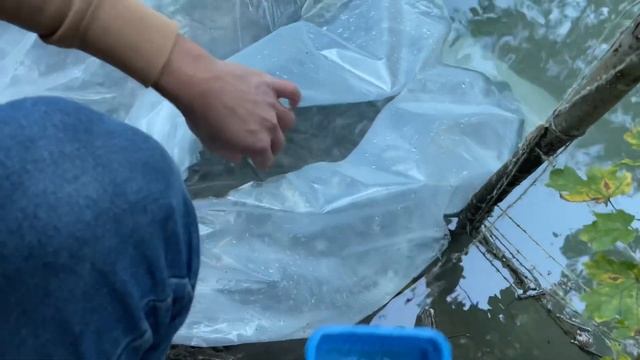 Запускаем малька форели октябрь 2022 смотреть онлайн