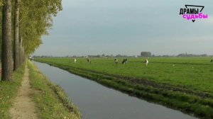 Измена жены, которая всплыла спустя время! Нашёл любовника и узнал… | Истории Измены Жены