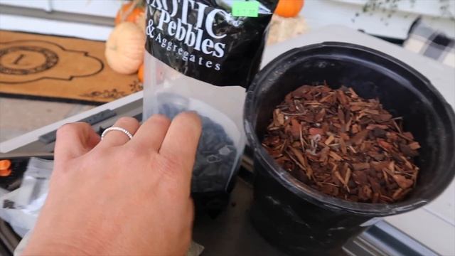 Succulent Treehouse Fairy Garden! ??♀️// Garden Answer смотреть онлайн