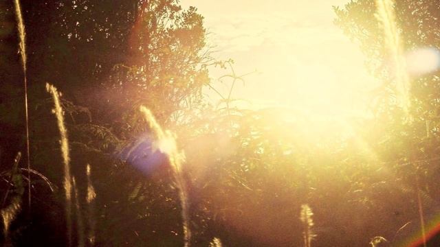 Взаимодействие тонких тел человека с его энергоинформационным полем.