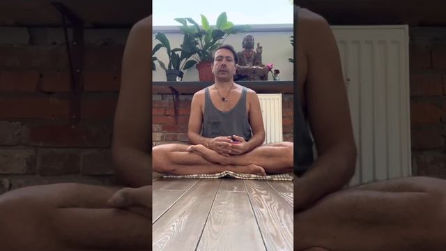 Дыхание в практике асан и виньяс смотреть онлайн