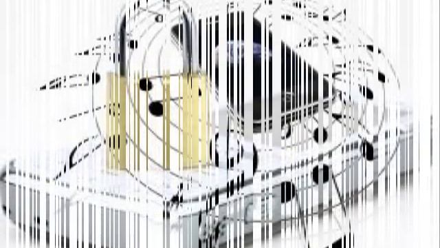 el celular - el chombo dj black смотреть онлайн