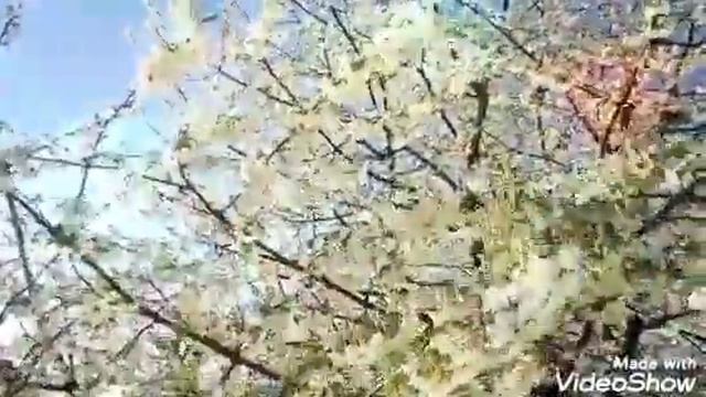 ВЕСНА ИДЁТ ВСЁ ЦВЕТЁТ смотреть онлайн