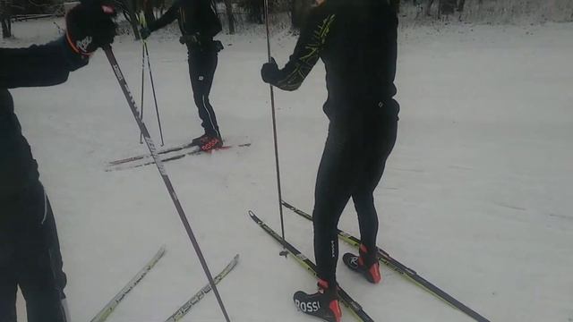 Тренировка на новых лыжах Fischer смотреть онлайн