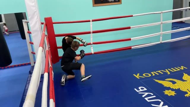 Тренировка по детскому Боксу смотреть онлайн