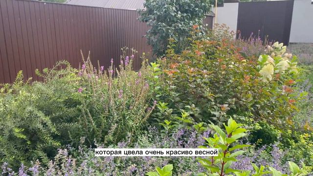 ОБЗОР САДА: ГОТОВОЕ РЕШЕНИЕ смотреть онлайн