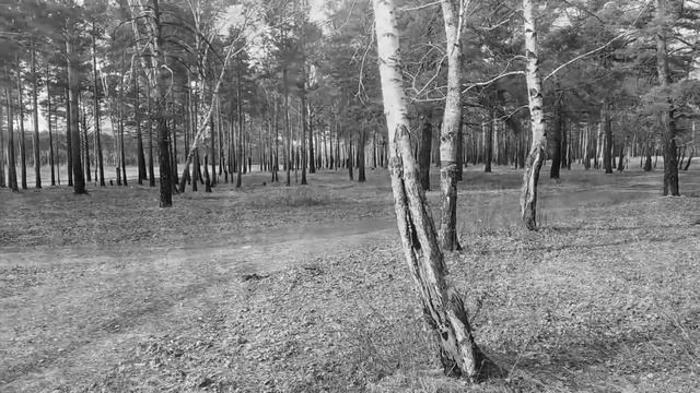 ДК"Энергетик" "ЛИЗАВЕТА" в исполнении Вячеслава Якимова смотреть онлайн