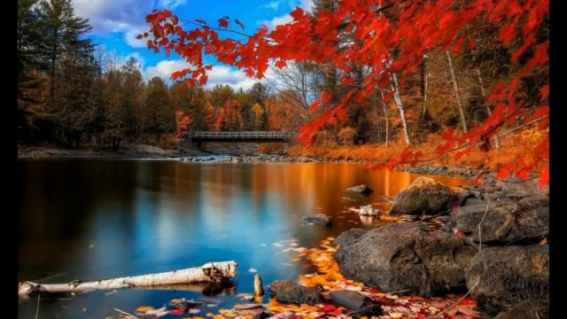 с сергею смотреть онлайн