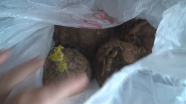 ЧТО В МОЕМ ХОЛОДИЛЬНИКЕ И МОРОЗИЛЬНОЙ КАМЕРЕ смотреть онлайн