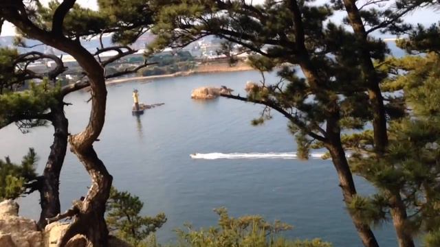 South Korea, Trip To Ulsan. ЮЖНАЯ КОРЕЯ , путешествие в город Ульсан