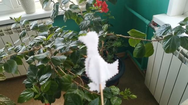 Чем я занята сейчас. Посадки, прополка, уборка в доме. смотреть онлайн