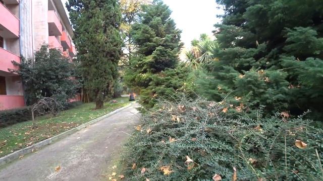 ЮЖНОЕ ВЗМОРЬЕ САНАТОРИЙ АДЛЕР В ДЕКАБРЕ 2022 смотреть онлайн