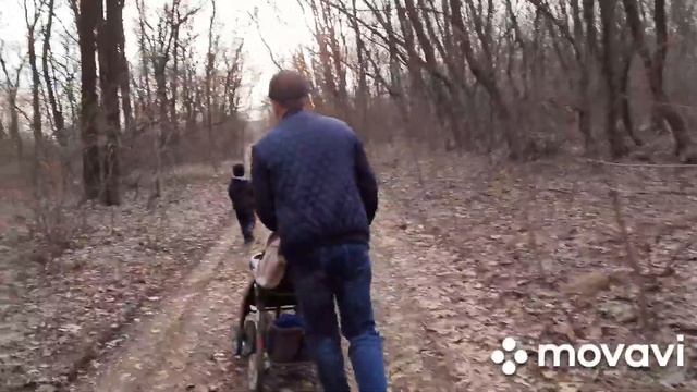 В ЛЕС ЗА ПОДСНЕЖНИКАМИ  ВЕСЕННИЙ ЛЕС  ПИКНИК