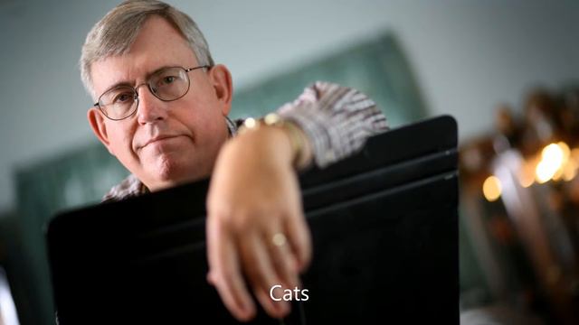 Cats By David DeBoor Canfield