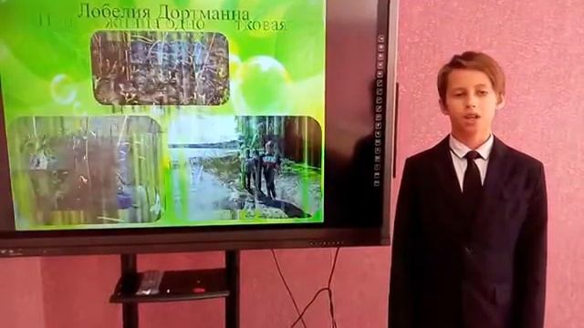 Исследовательская работа "Мы растения эти знаем, бережём и охраняем", 4 класс смотреть онлайн
