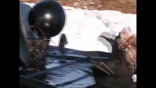 Охота на уток и волка видео онлайн 2013-2014 смотреть онлайн