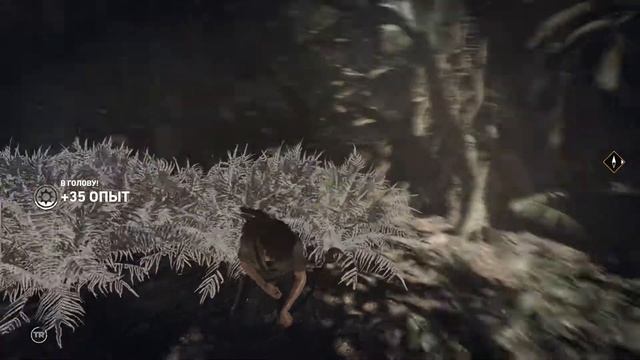 ПРОХОЖДЕНИЕ SHADOW OF THE TOMB RAIDER #ЧАСТЬ 6 Испытания Кувак-Яку смотреть онлайн