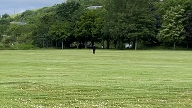 YouTube mic System Hollyland Lark 150 смотреть онлайн