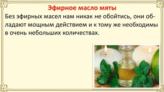 Домашнее средство из кокоса, мяты и корицы для улучшения роста волос смотреть онлайн