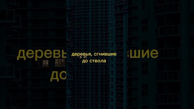 Violetta Sokolova - Деревья (snippet 23.12.2022 смотреть онлайн