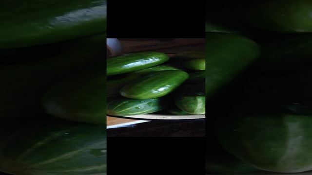 Огурцы огурцовые