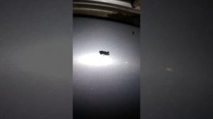 Как снять молдинг крыши акцент