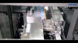 Автоматическая укладка дойпак пакетов в короба (Упаковка кормов для домашних животных)