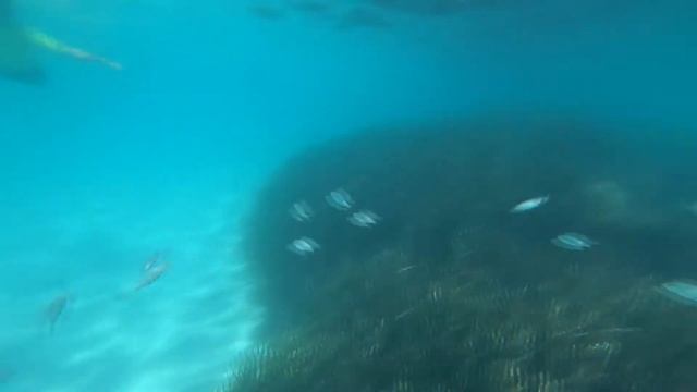 Майорка, городской пляж - под водой смотреть онлайн