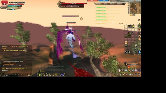 Perfect World проходим квесты