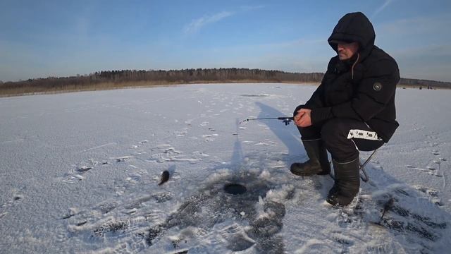 Ловля КРУПНОГО РОТАНА зимой на блесну / Рыбалка в НОВОСИБИРСКЕ!!! смотреть онлайн