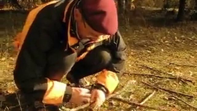 Бонус-видео. Золотое сечение. смотреть онлайн