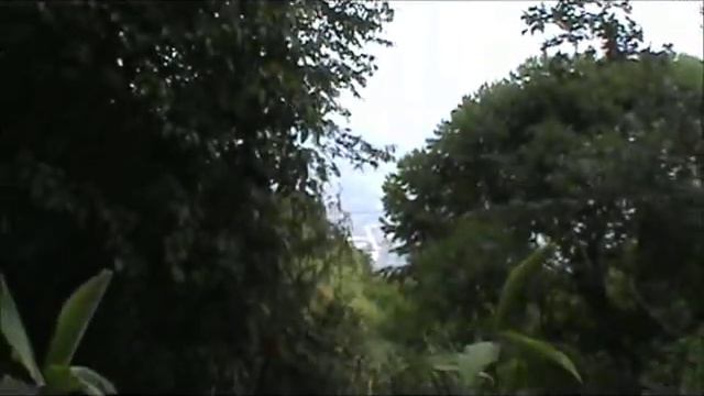COSTA RICA REAL ESTATE SERVICE Uvita Ocean View House смотреть онлайн
