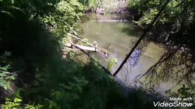 Тракторный стан в лесу, и бомбических хариус. смотреть онлайн