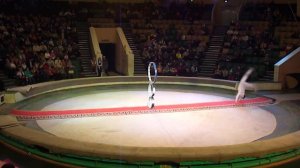 Акробаты в цирке. Супер Шоу!.MP4