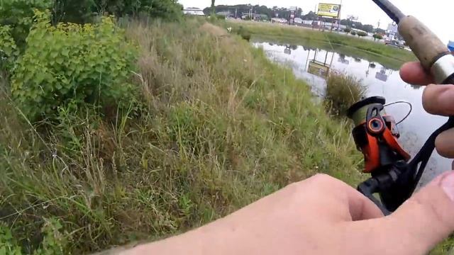 CRAZY Amazon Topwater Lure Fishing Challenge (Does it Work?) смотреть онлайн