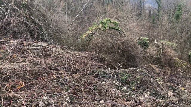 Земельный участок | Сергей-Поле | 20 сот. | 30609 смотреть онлайн