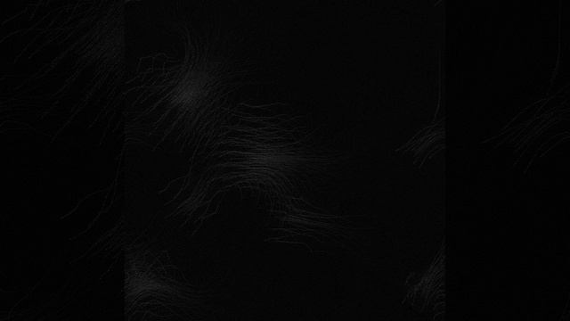 boids algorithm in p5.js (4K) смотреть онлайн