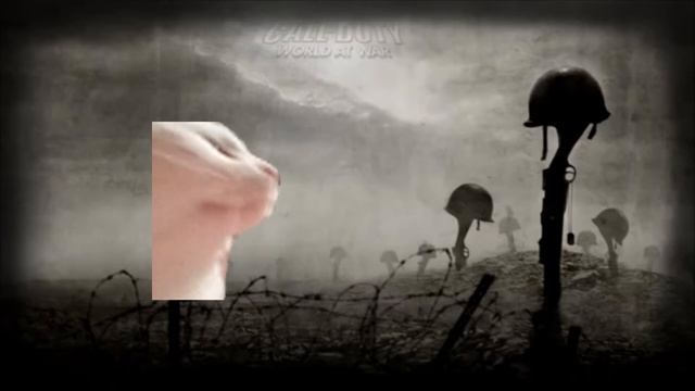 cat jams to COD WAW Black Cats смотреть онлайн
