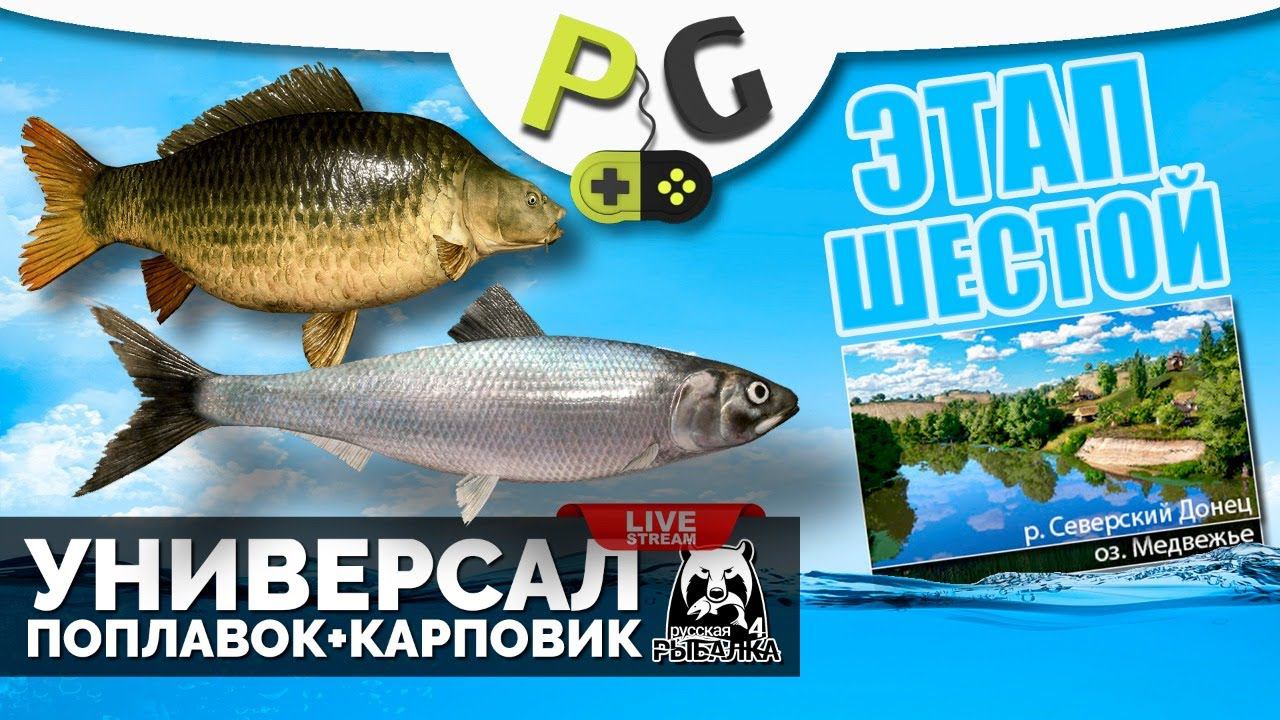 Русская Рыбалка 4 - Стрим Прокачка УНИВЕРСАЛА для 6-го этапа Стрим #7 Ловим на поплавок + карповик смотреть онлайн