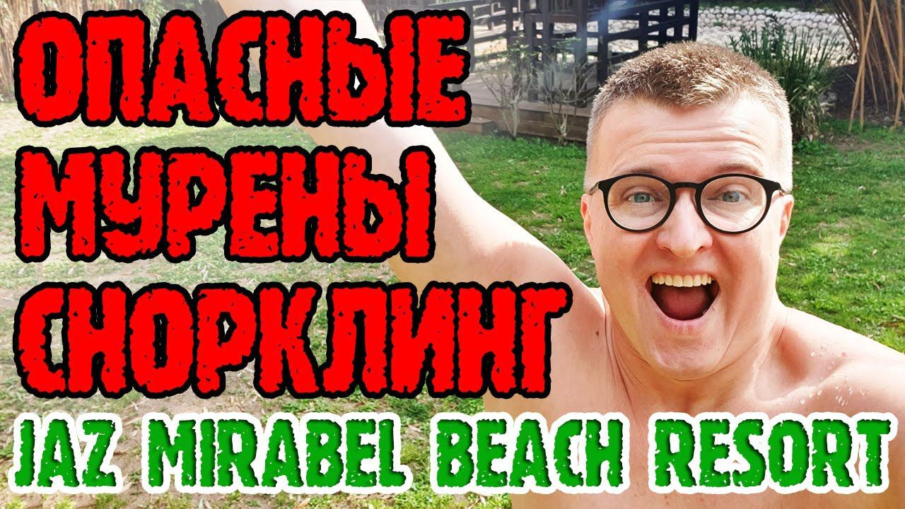Jaz Mirabel Beach 5* - 3 серия. Коралловый риф. Ужин. Шоу. Магазины в отеле. Выселяемся. смотреть онлайн