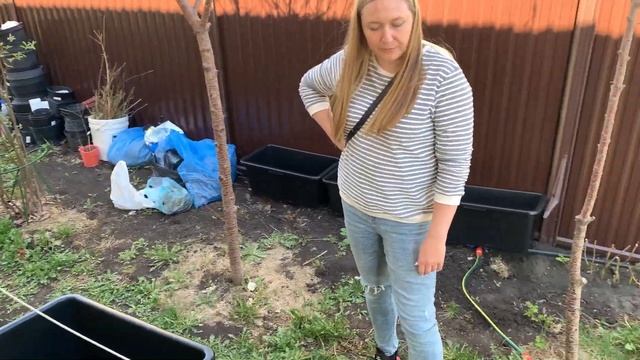 КУПИЛИ КОНТЕЙНЕРЫ ДЛЯ ПОСАДКИ КЛУБНИКИ выращивание клубники в подвесных контейнерах смотреть онлайн