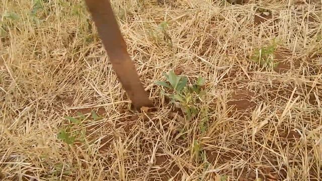 Сменил маршрут и сорвал Джек пот. Коп металлолома смотреть онлайн